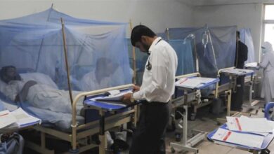 More 75 Dengue Cases Reported in Islamabad