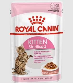 What is the Premier Cat Food for Kittens