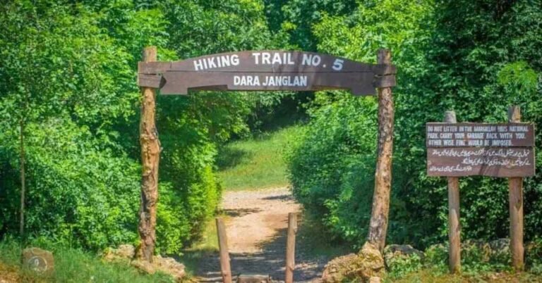 Margalla Trails Reopen as Weather Clears in Islamabad